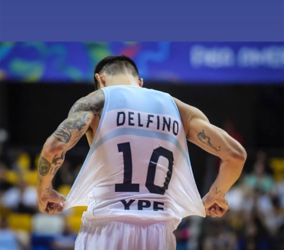 delfino-2