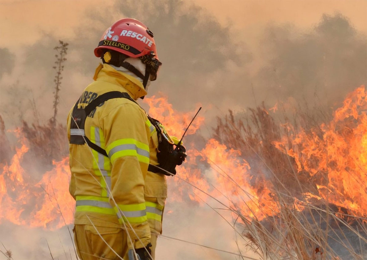 incendios-forestales-ley-de-manejo-del-fuego-3