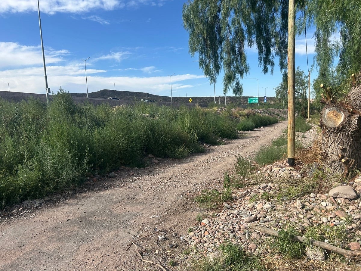 ruta 82