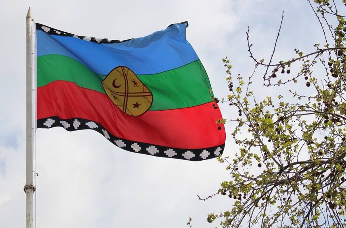 bandera mapuche