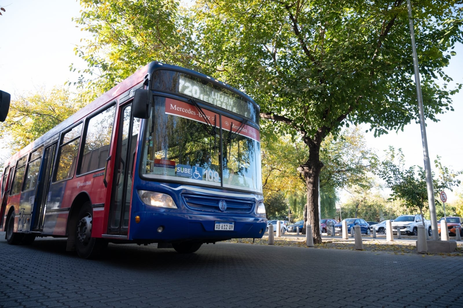 Colectivos 1