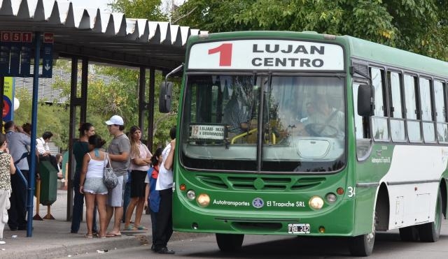 Colectivos 2