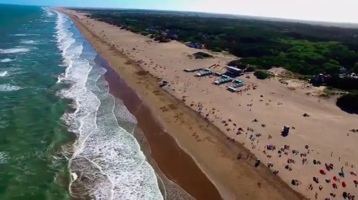 gaviotas