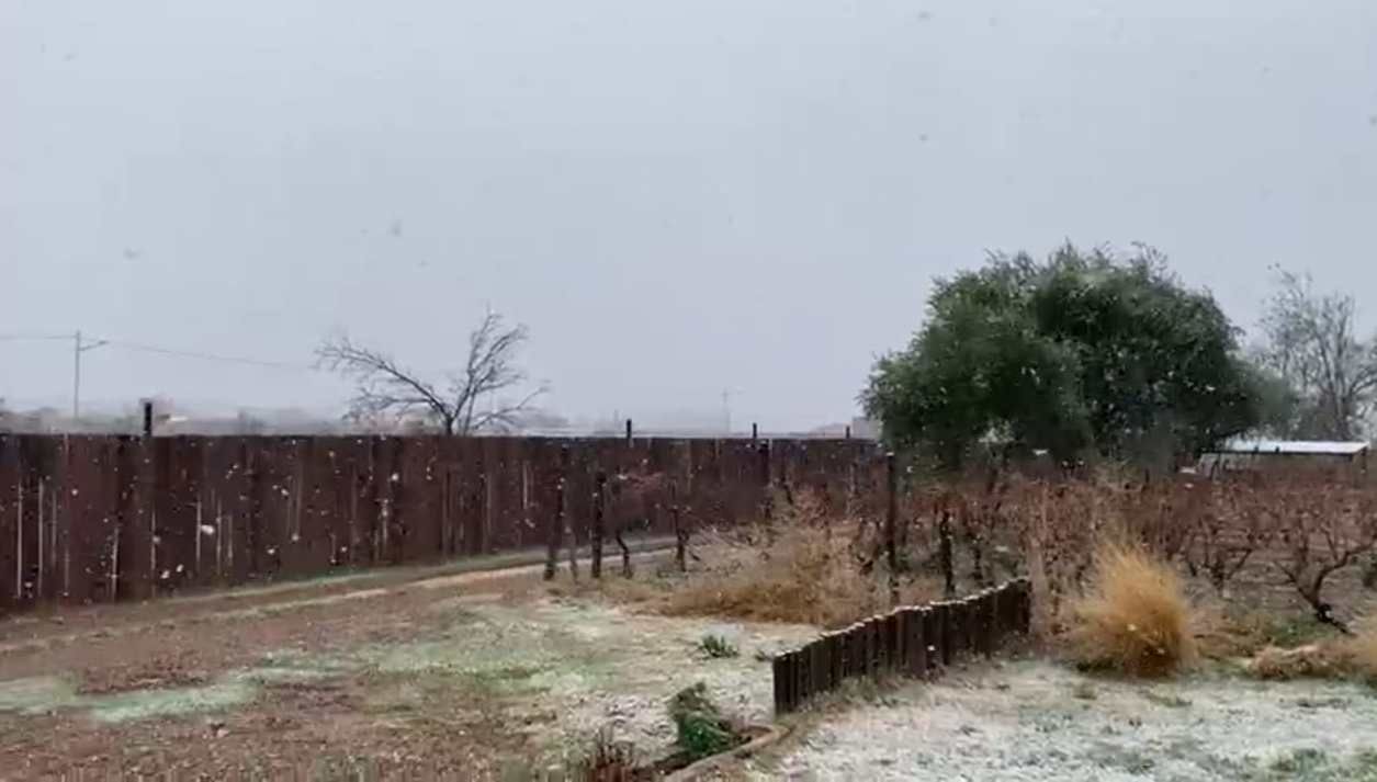 nevadas