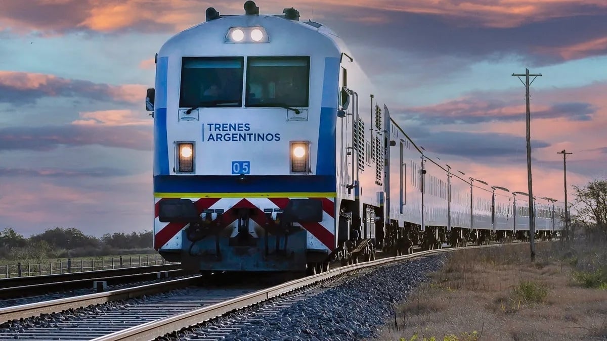 trenes2