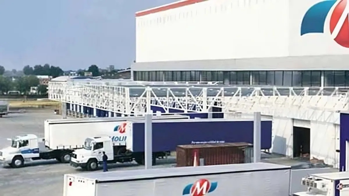 molinos3