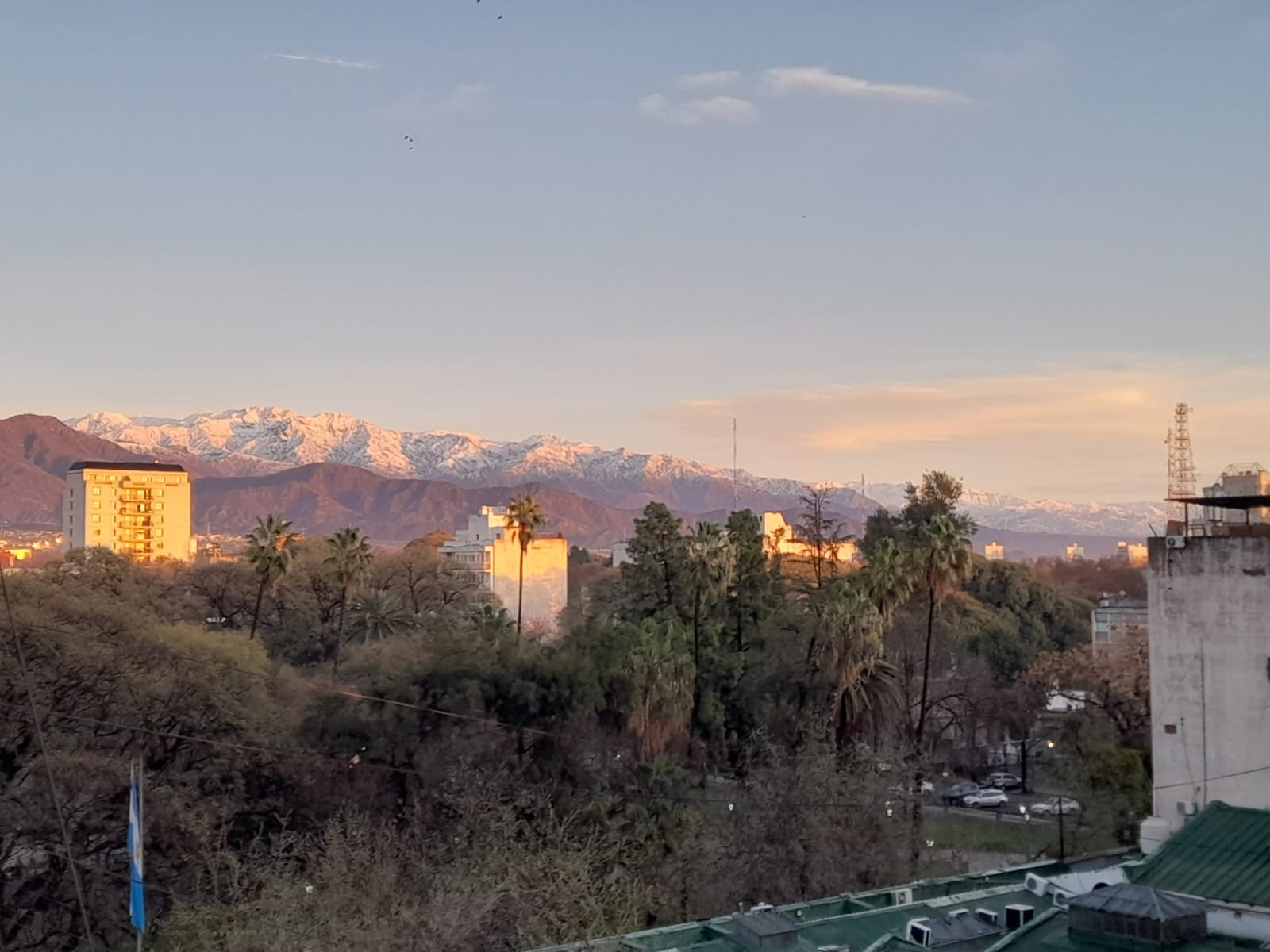pronostico