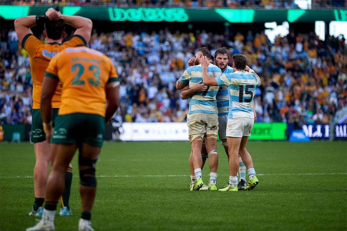 los-pumas