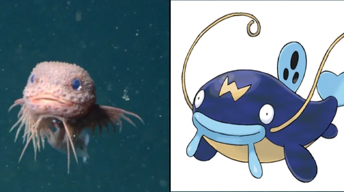POKEMON1