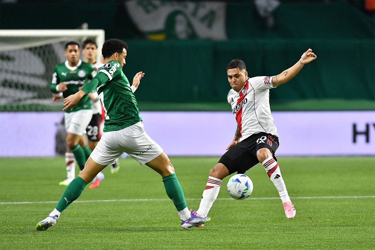palmeiras-river-3