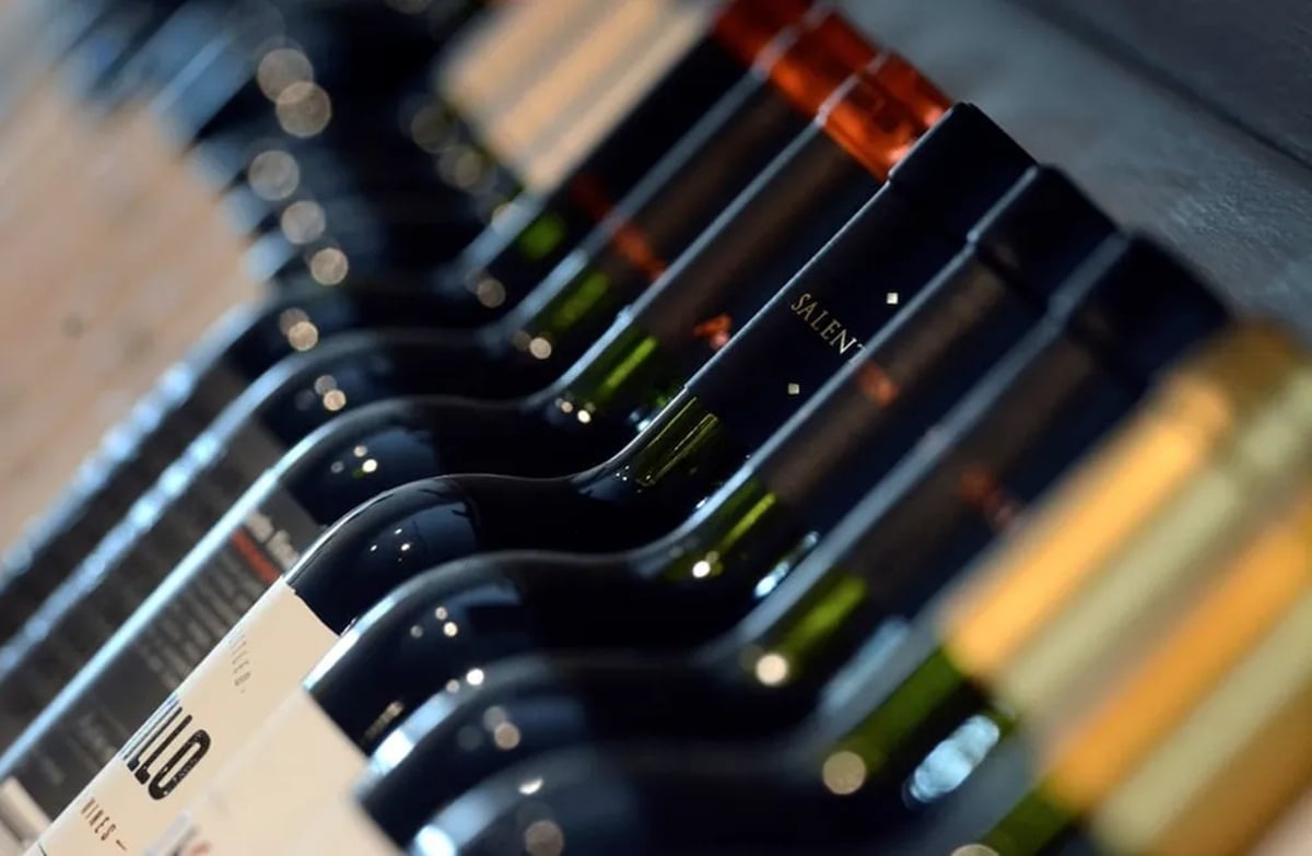 vino2