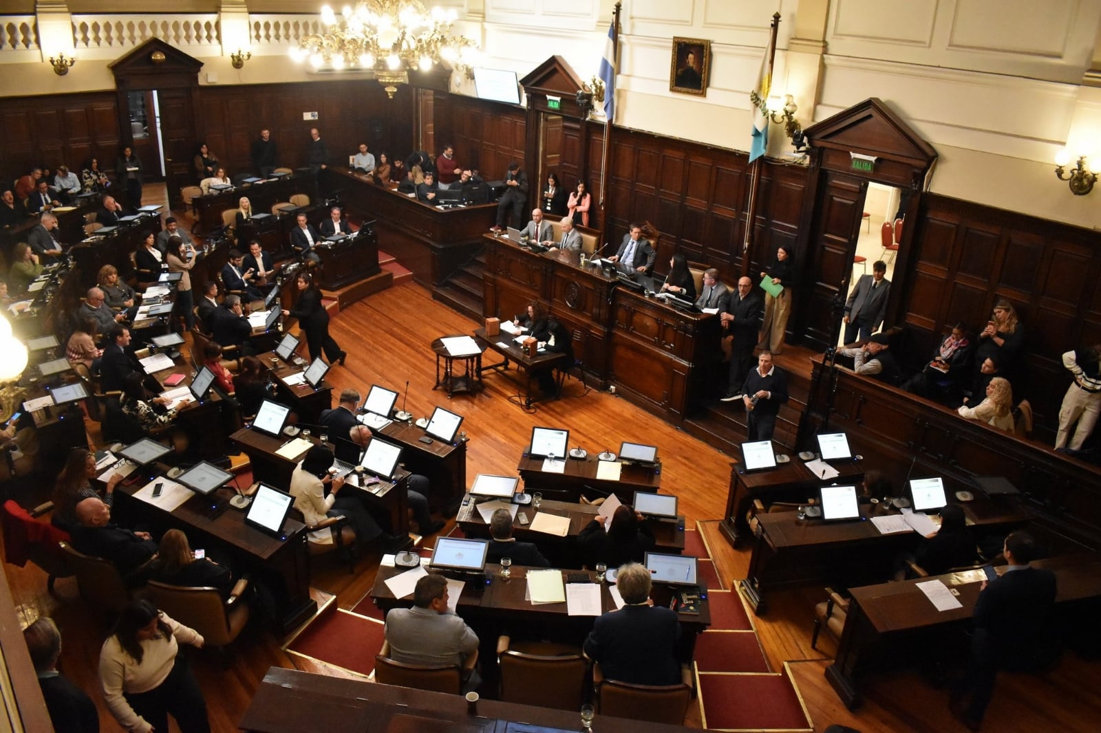 diputados