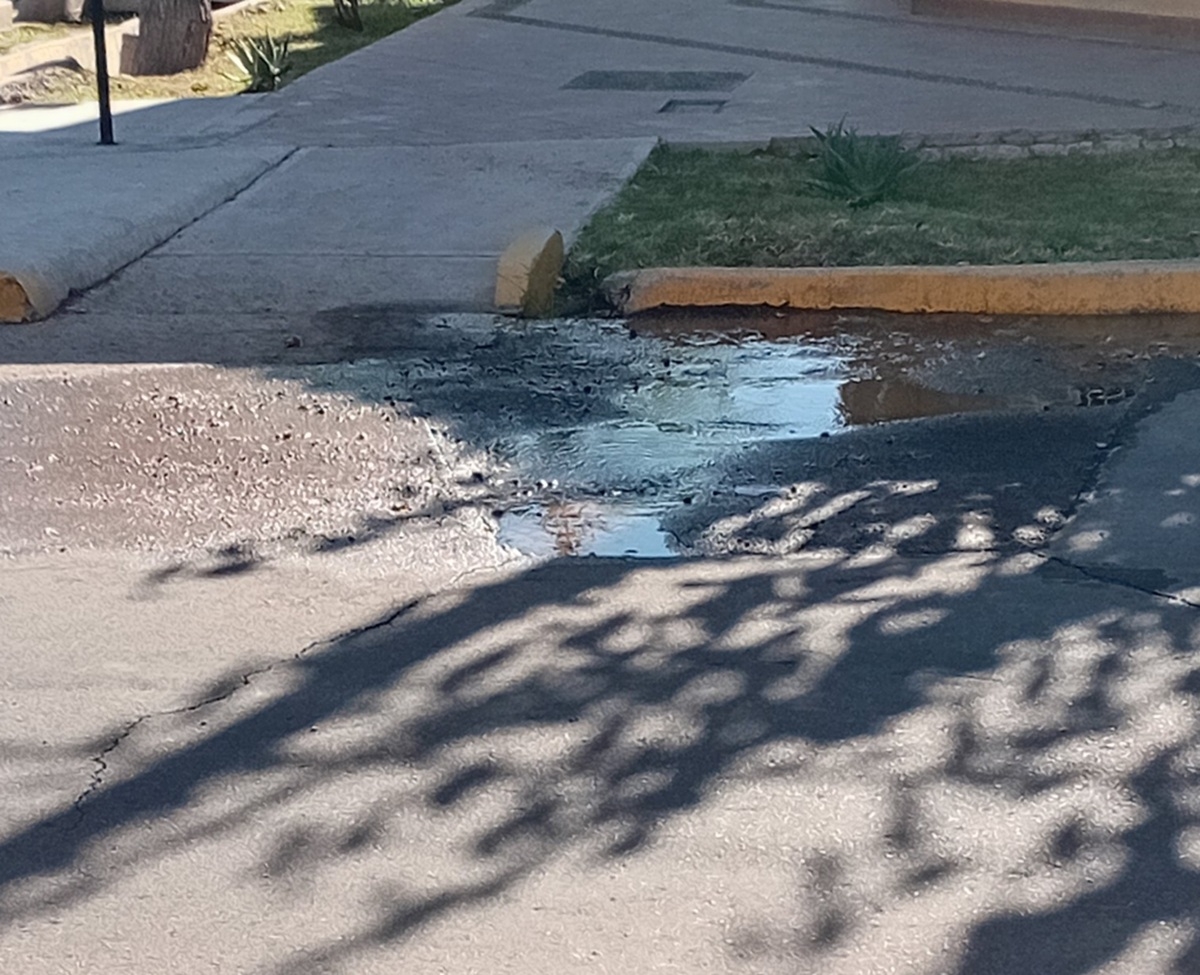 agua gllen