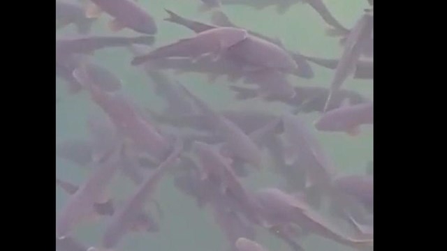 0000000000000000000000000000000000000000000000000000000000000000000000000000000000000000000000000000000000000000000000000000000000000000000000000000000000000000000000000000000000000000000000 x 6( (8 (80 (70 (800