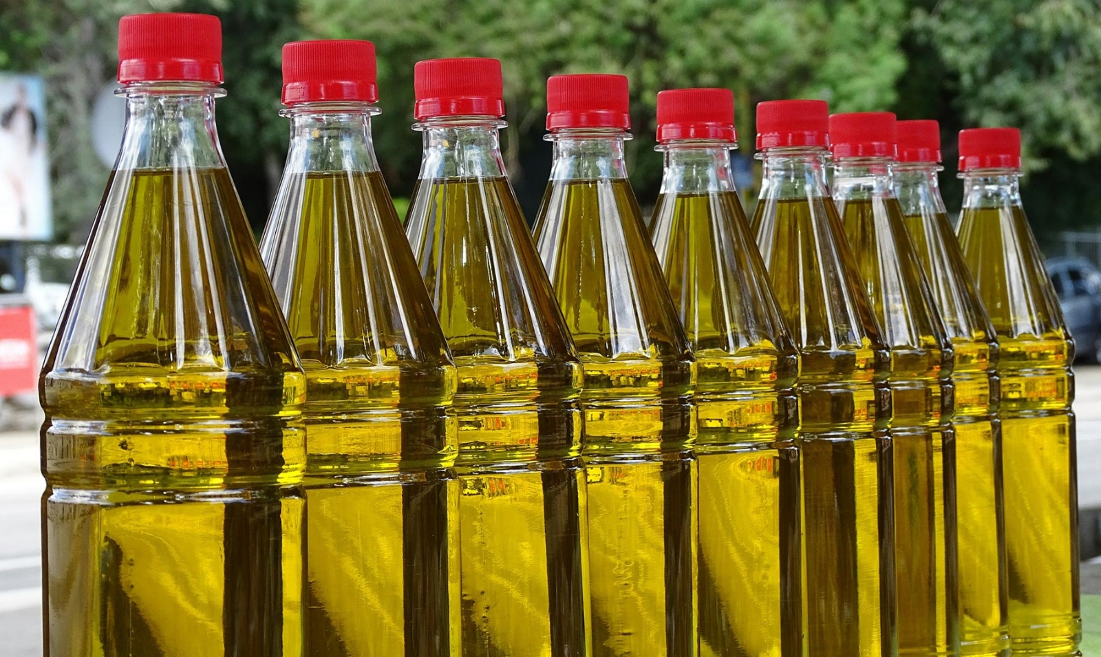 olive-oil