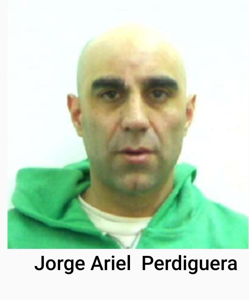pergiguero