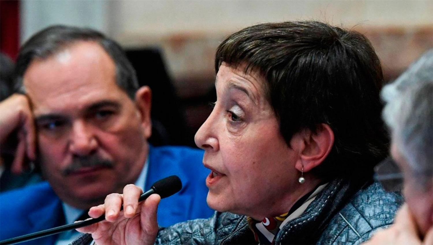 alperovich-mirkin-integraran-bloque-cristina-senado-825537-095645