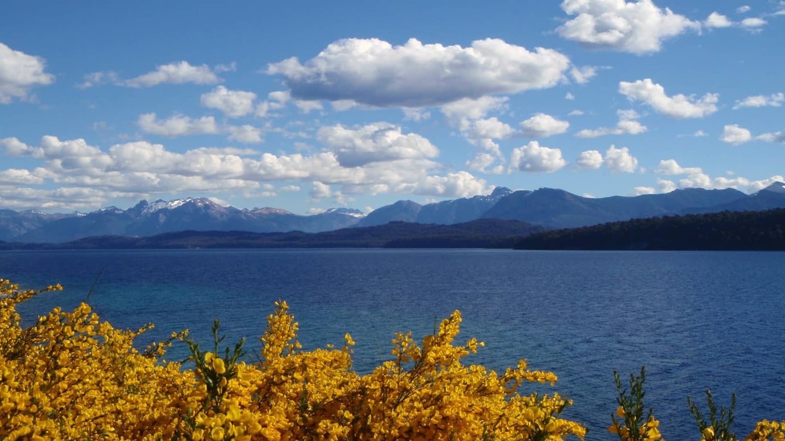 norte de la patagonia