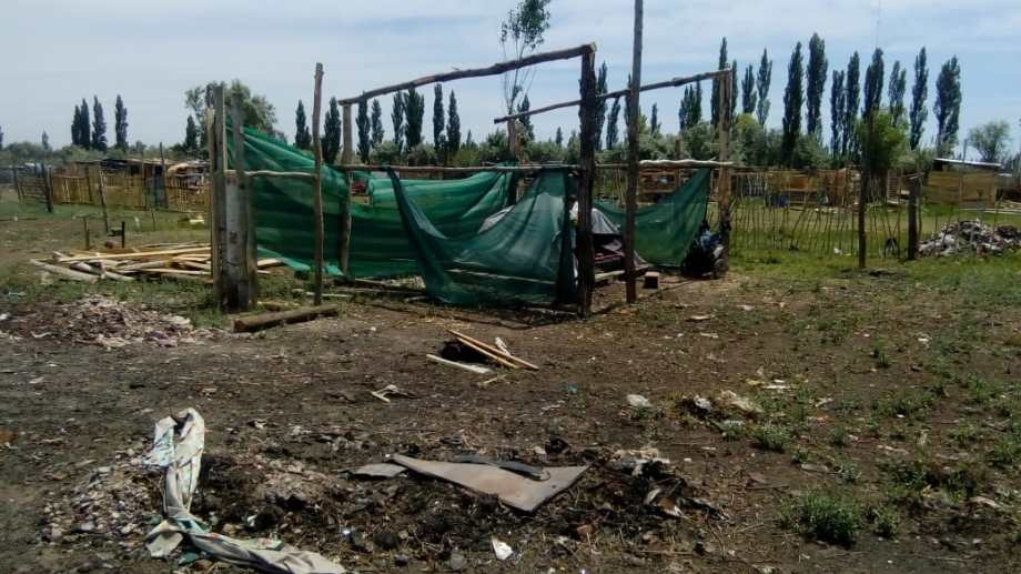 Carpa 1