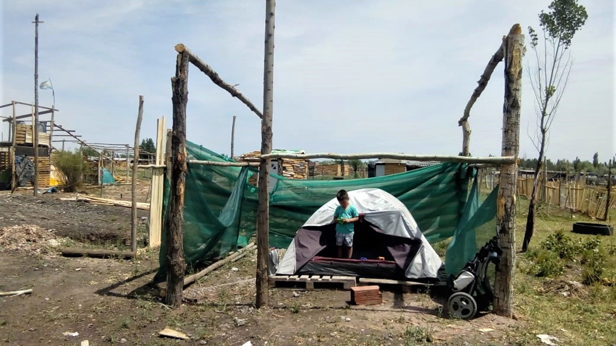 Carpa 2