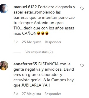david