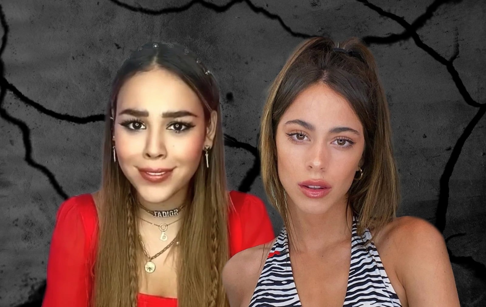 Dannaportada