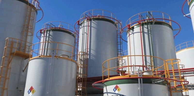 www.minutoneuquen.com biodiesel2