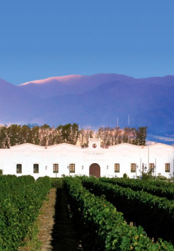 www.minutoneuquen.com torrontes3