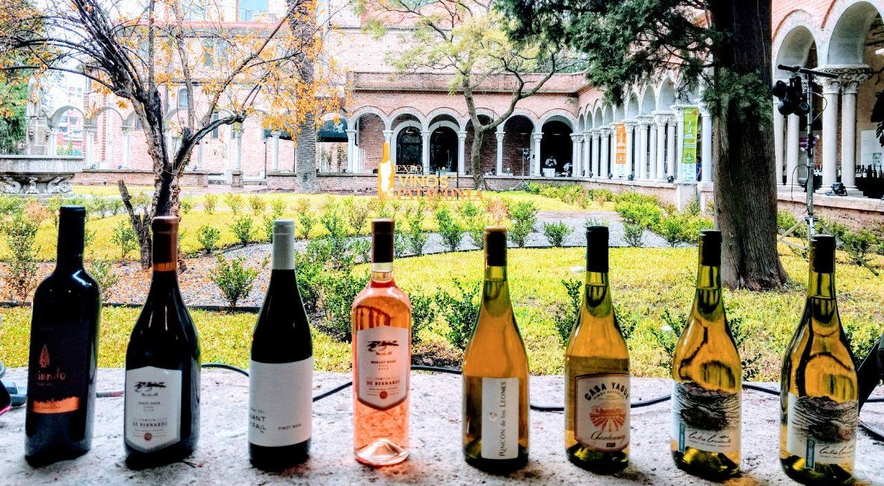 www.minutoneuquen.com vinoschubut1