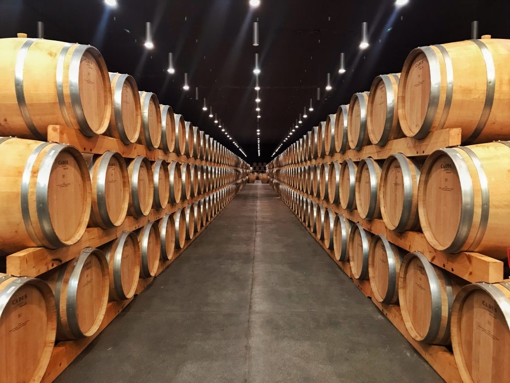 www.minutoneuquen.com vinoinnova4
