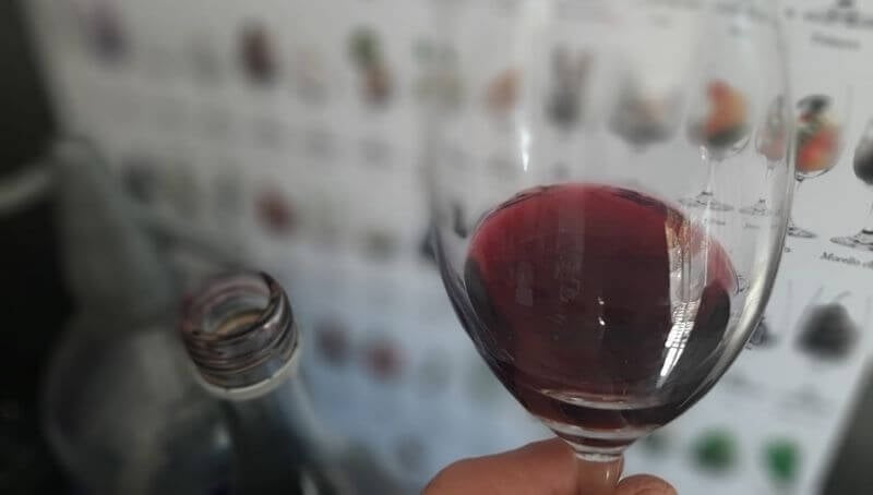 www.minutoneuquen.com vinopolémica3
