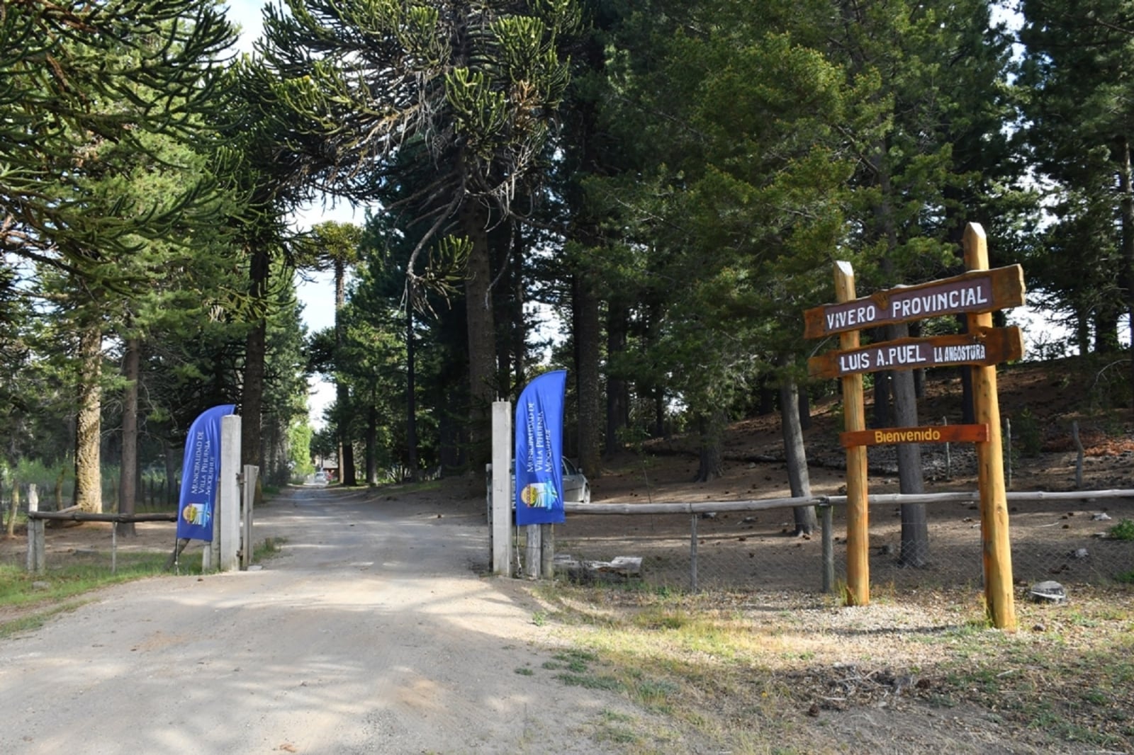 vivero-1