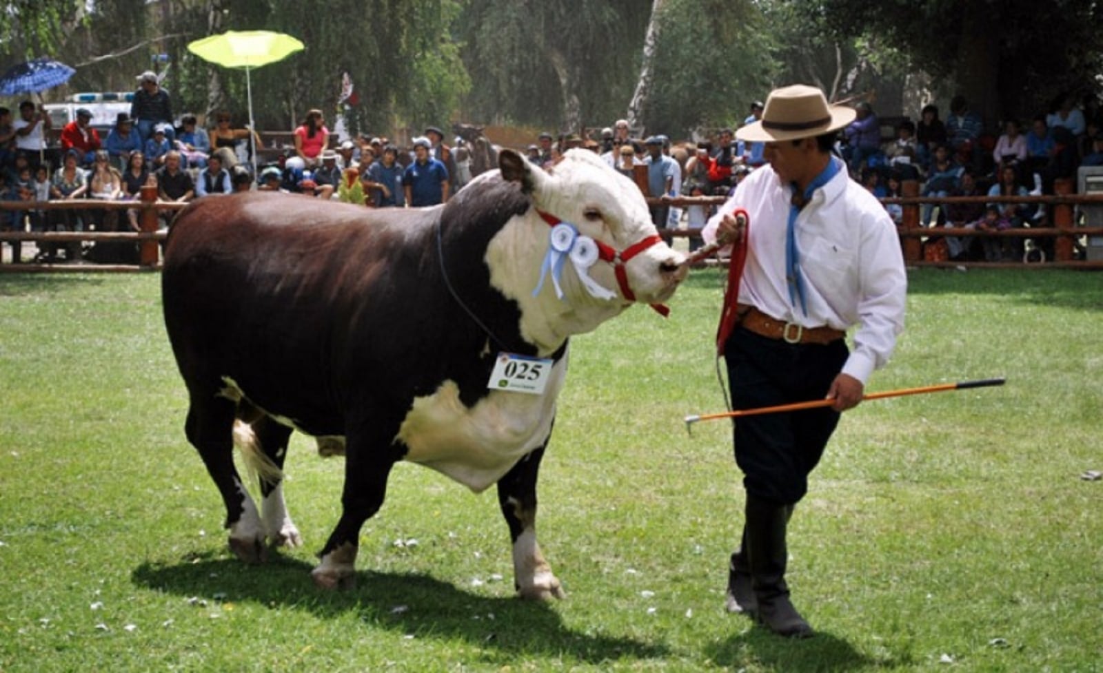 Comienza-hoy-en-Junín-de-los-Andes-la-Expo-Rural-de-Neuquén
