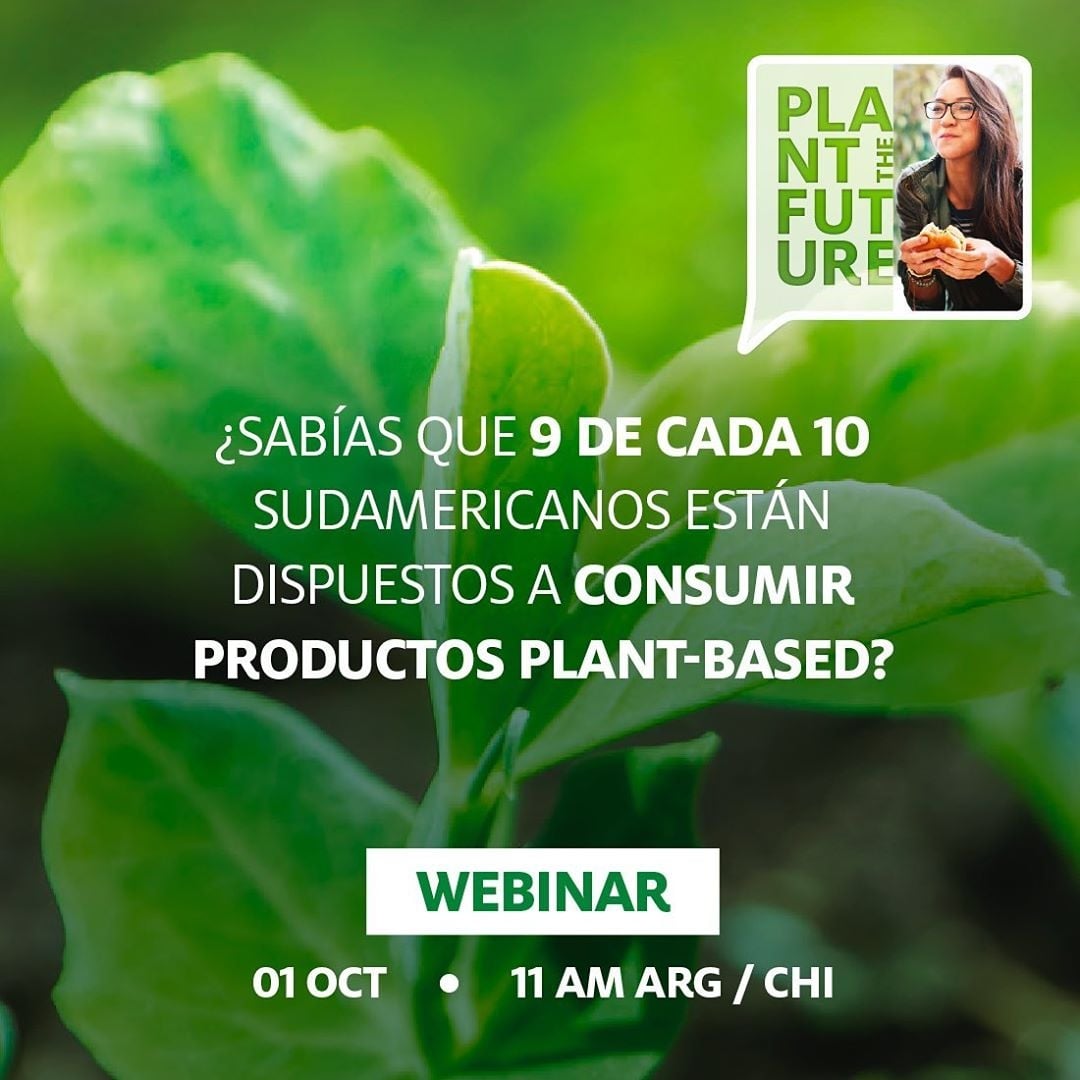 www.minutoneuquen.com plant1
