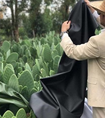 www.minutoneuquen.com nopal4