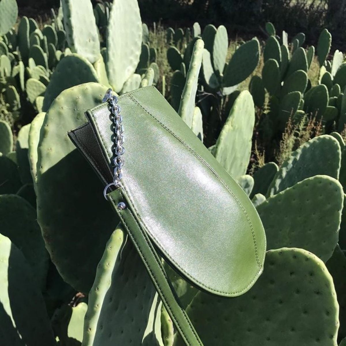 www.minutoneuquen.com nopal1