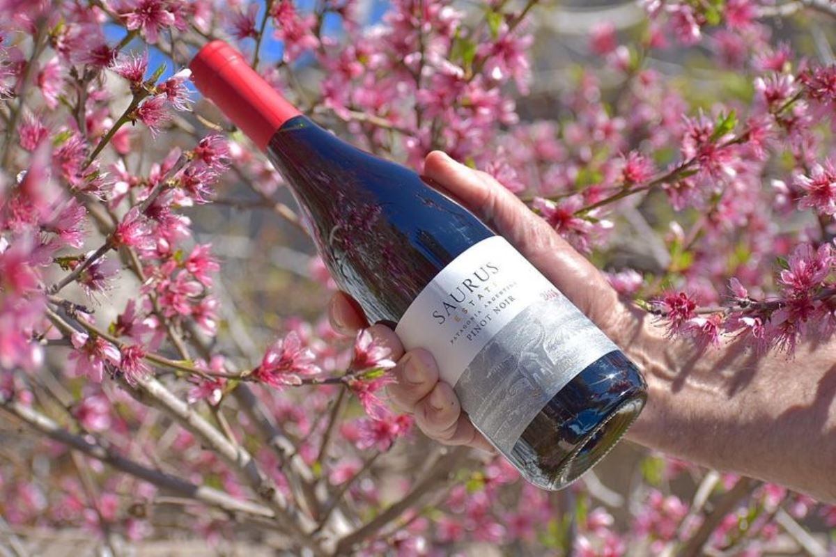www.minutoneuquen.com pinotnoirpremio000