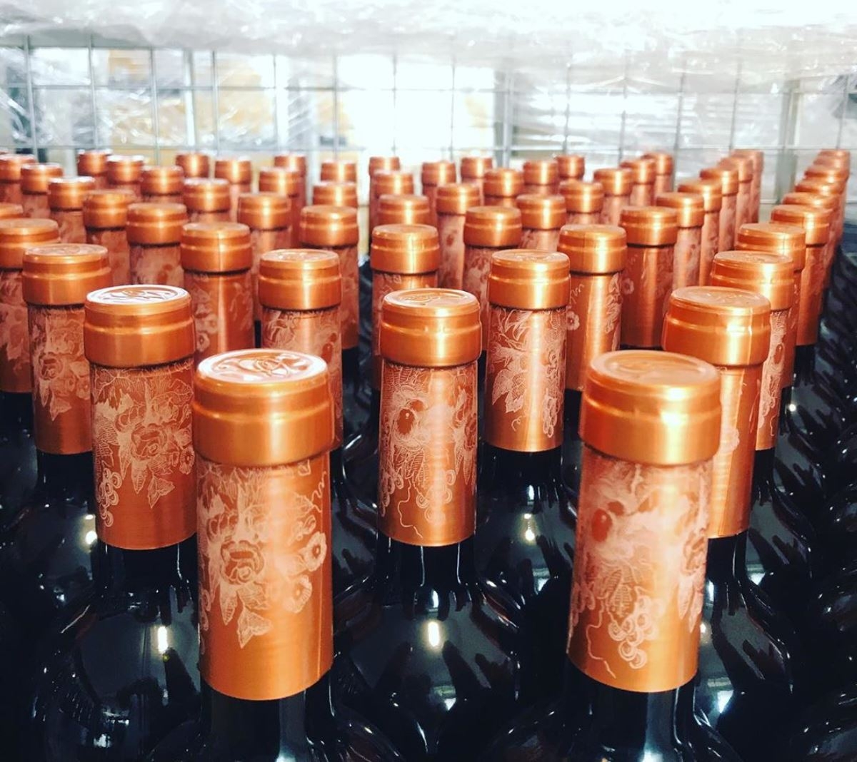www.minutoneuquen.com vinoexport00