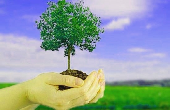 investigacion-del-medio-ambiente