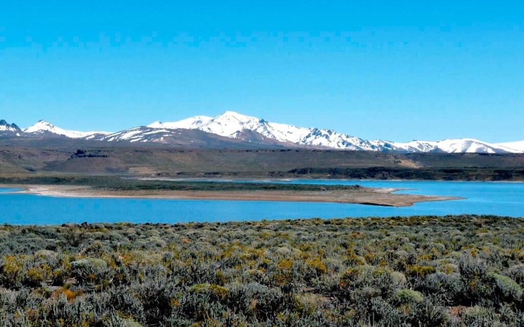 parque-nacional-laguna-blanca-neuquen-1024x640