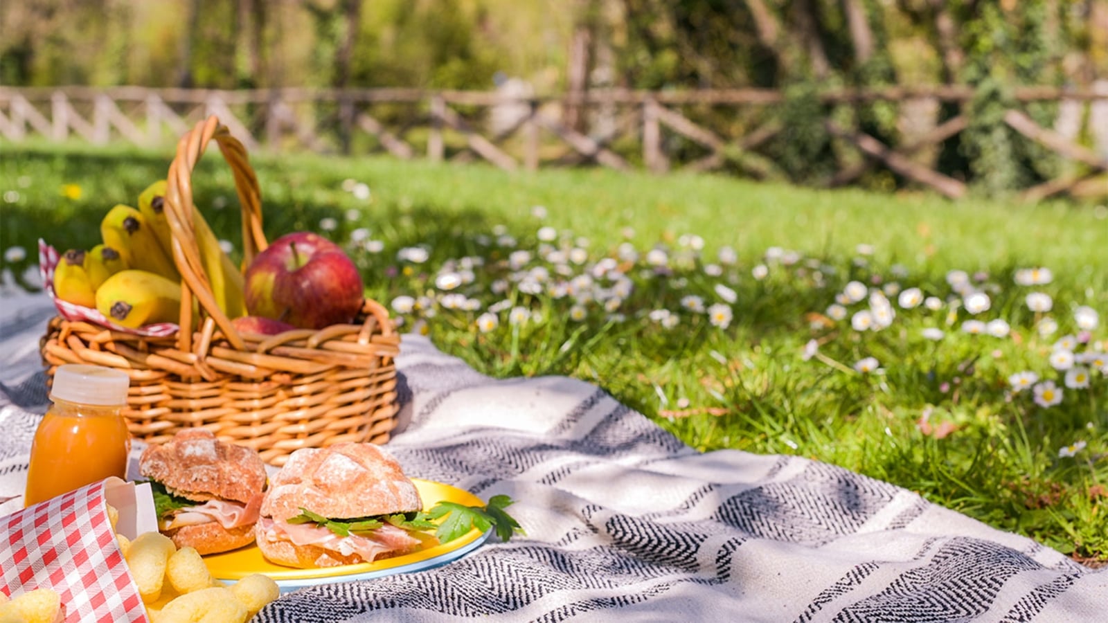 www.minutoneuquen.com picnic1