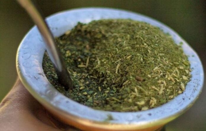 www.minutoneuquen.com yerbamate2