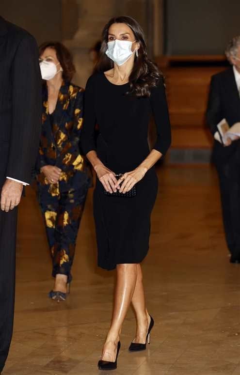 reina-letizia_cfe4a925_495x774