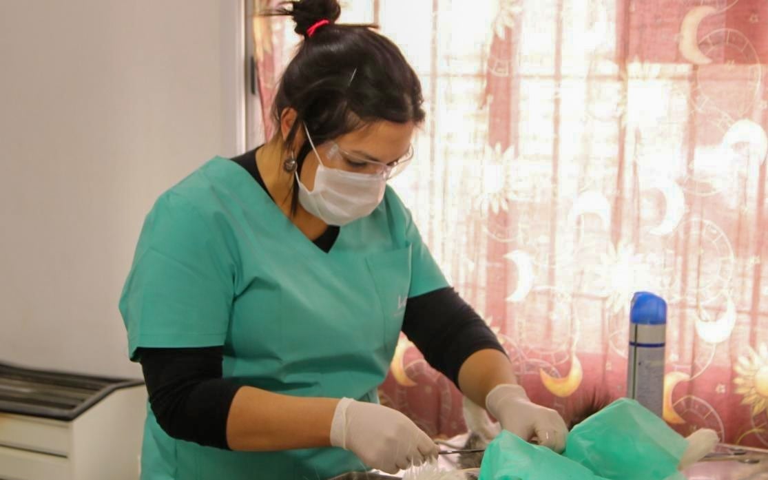 Se-retoman-las-jornadas-de-castraciones