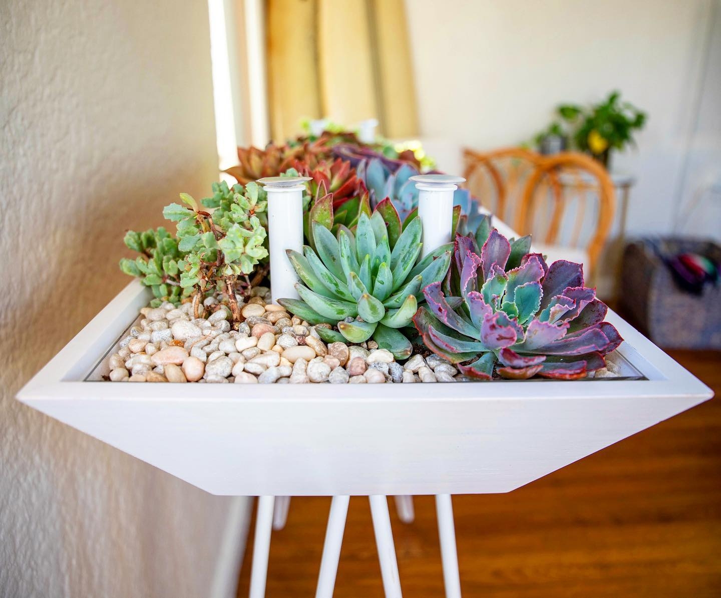 www.minutoneuquen.com bloomingtables6