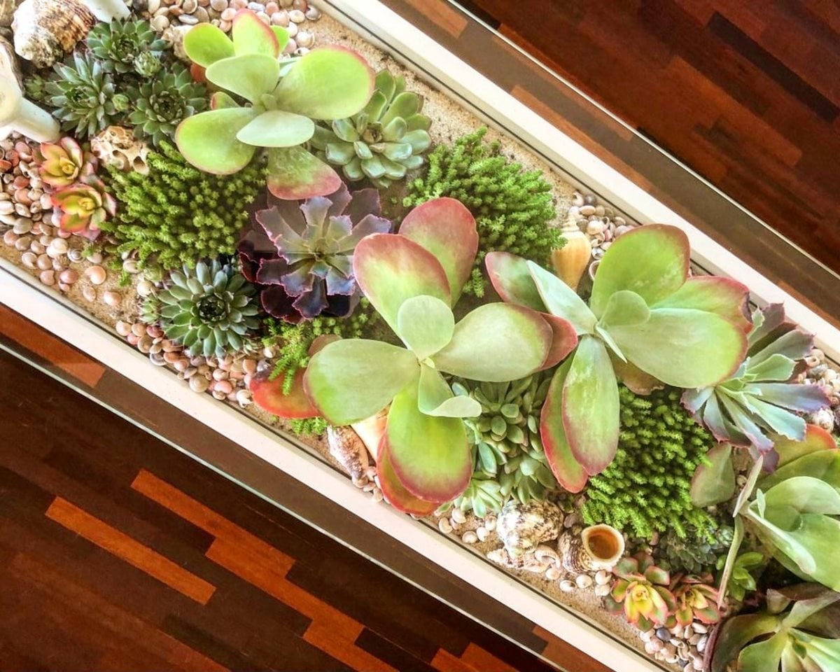 www.minutoneuquen.com bloomingtables3