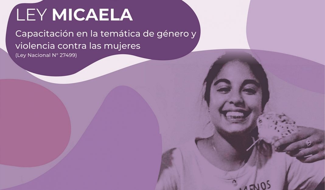 ley-Micaela (1)