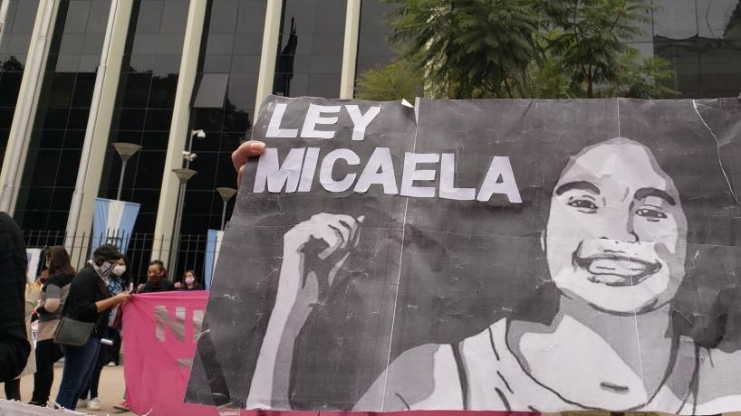 Ley-Micaela3