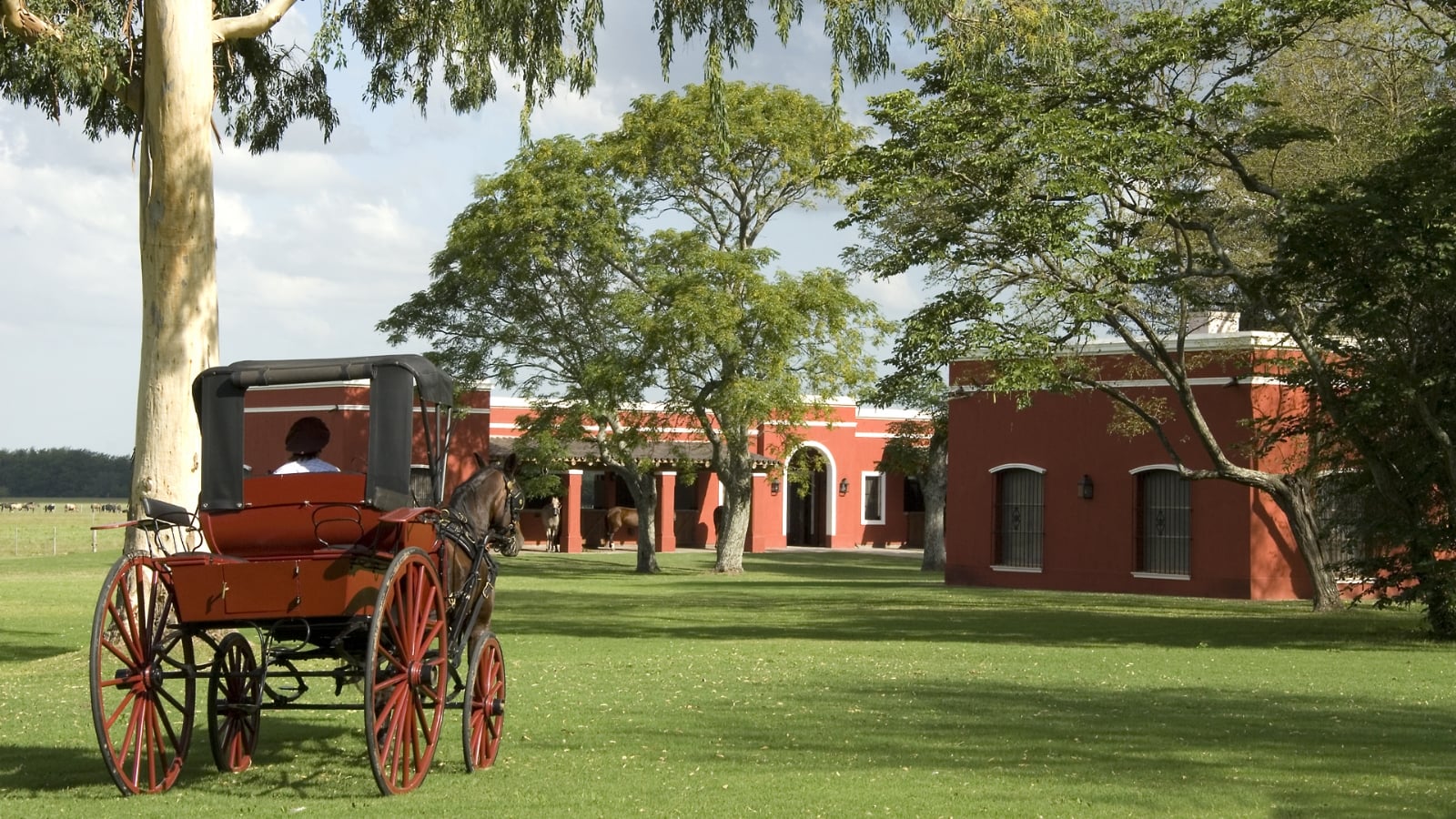 www.minutoneuquen.com estancia3