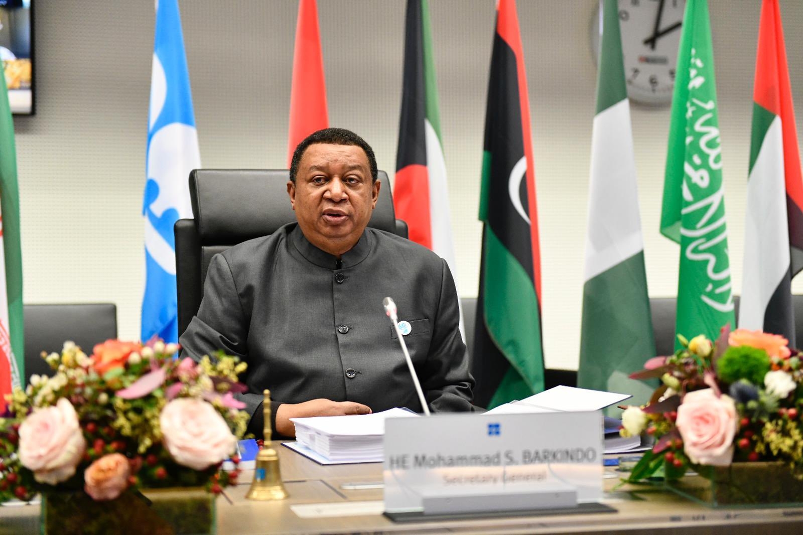 www.minutoneuquen.com opec